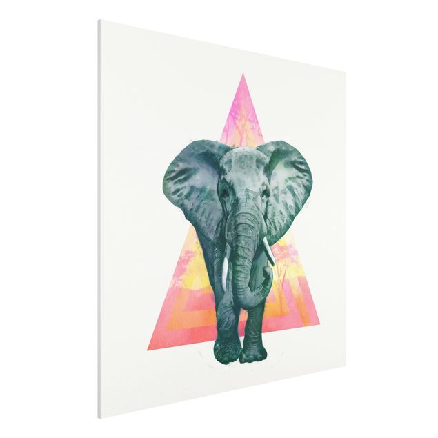 Decoración cocina Illustration Elephant Front Triangle Painting