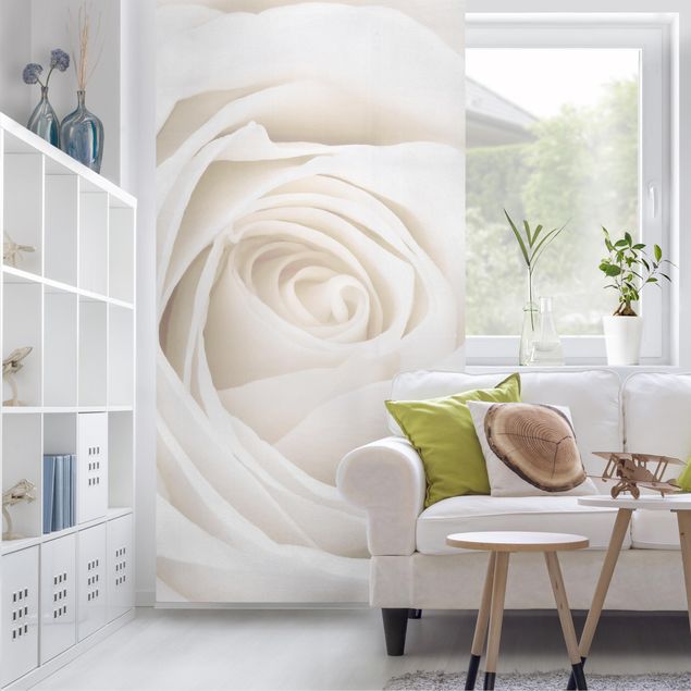 Paneles separadores de ambientes Pretty White Rose