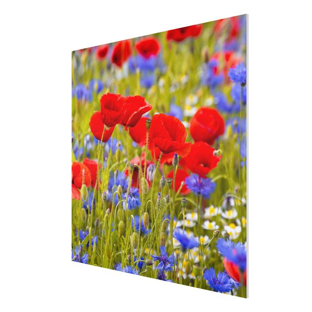 Cuadros de plantas naturales Summer Meadow With Poppies And Cornflowers