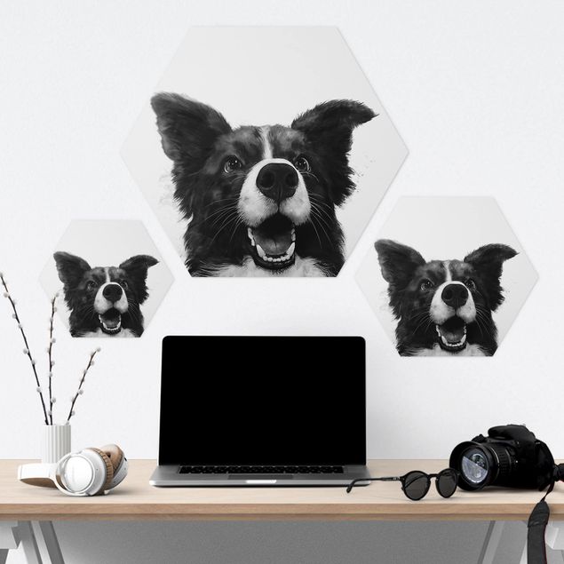 cuadros hexagonales Illustration Dog Border Collie Black And White Painting