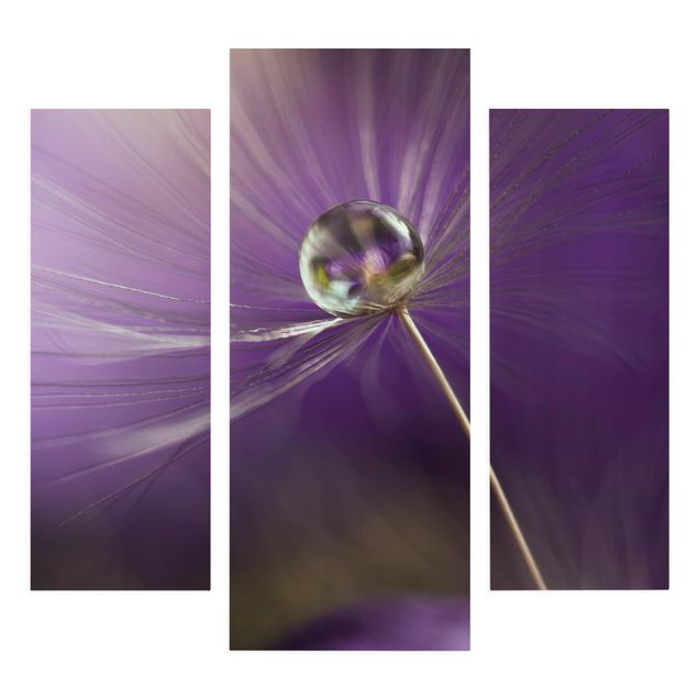 Cuadros de flores modernos Dandelion In Violet