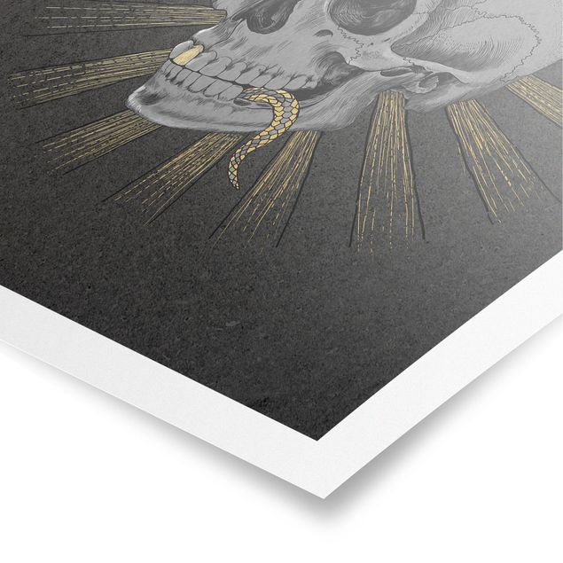 Cuadro negro Illustration Skull And Snake Black Gold