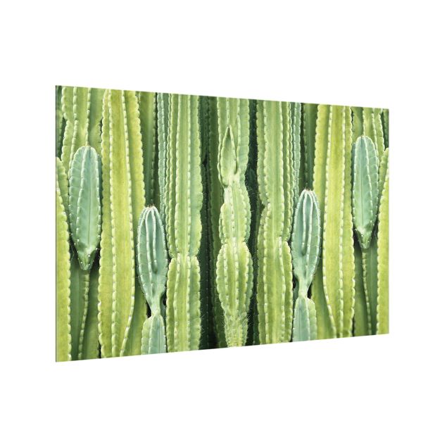 Paneles de vidrio para cocinas Cactus Wall
