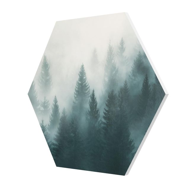 Cuadros modernos Coniferous Forest In Fog