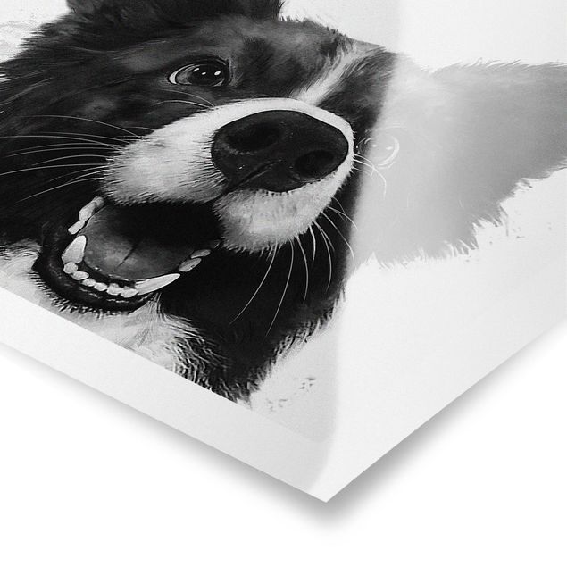 Cuadros a blanco y negro Illustration Dog Border Collie Black And White Painting
