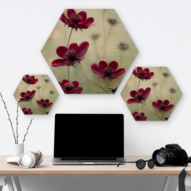 Hexagon Bild Holz - Pinke Kosmeen