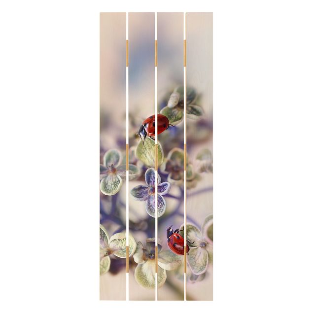 cuadros de madera decorativos Ladybird In The Garden