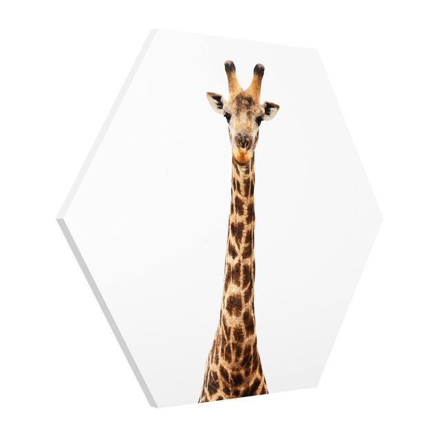 Cuadros infantiles animales Giraffe head