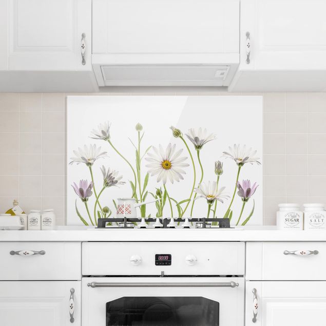 Panel antisalpicaduras cocina flores Cape - Daisy