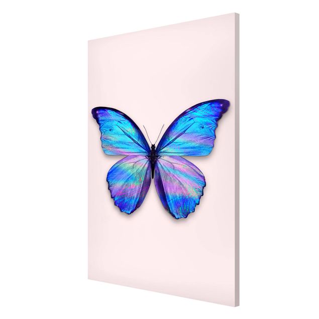 Cuadros de mariposas modernos Holographic Butterfly