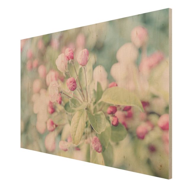 cuadro vintage madera Apple Blossom Bokeh Light Pink