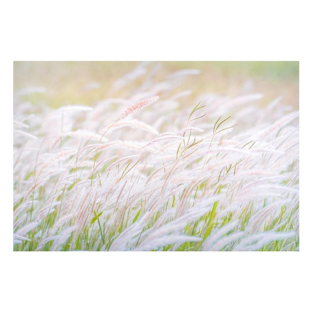 Tableros magnéticos flores Soft Grasses