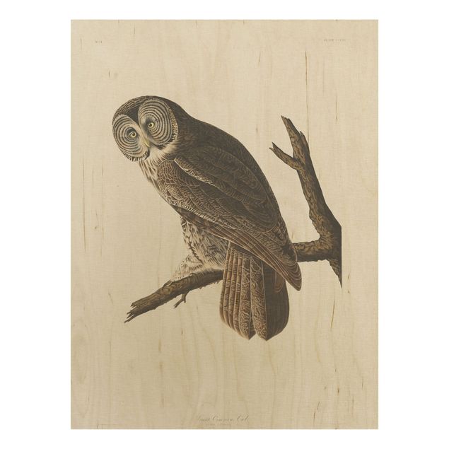 Cuadros vintage madera Vintage Board Great Owl