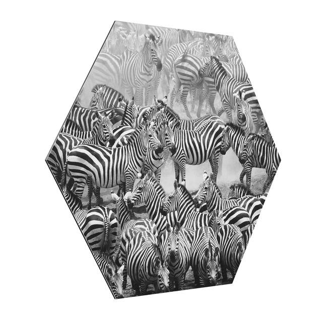Cuadros modernos Zebra herd II