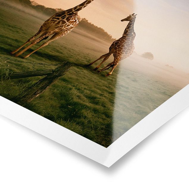 Póster paisajes para pared Surreal Giraffes