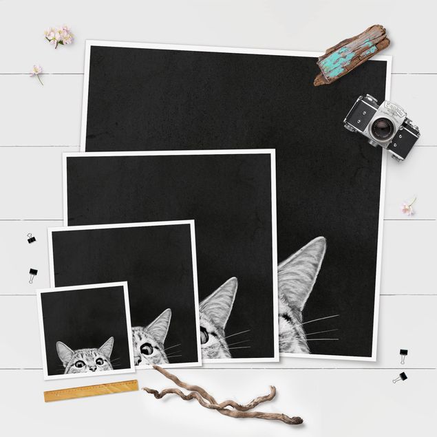 Cuadros a blanco y negro Illustration Cat Black And White Drawing