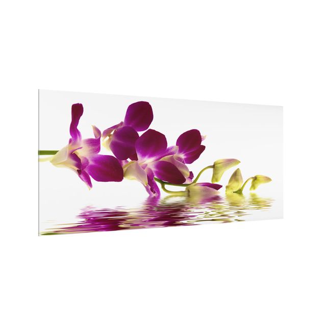Salpicadero cocina cristal Pink Orchid Waters