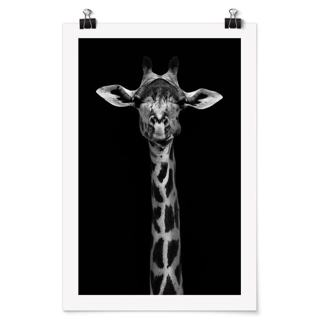 Póster animales Dark Giraffe Portrait
