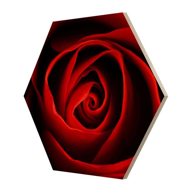 Hexagon Bild Holz - Liebliche Rose