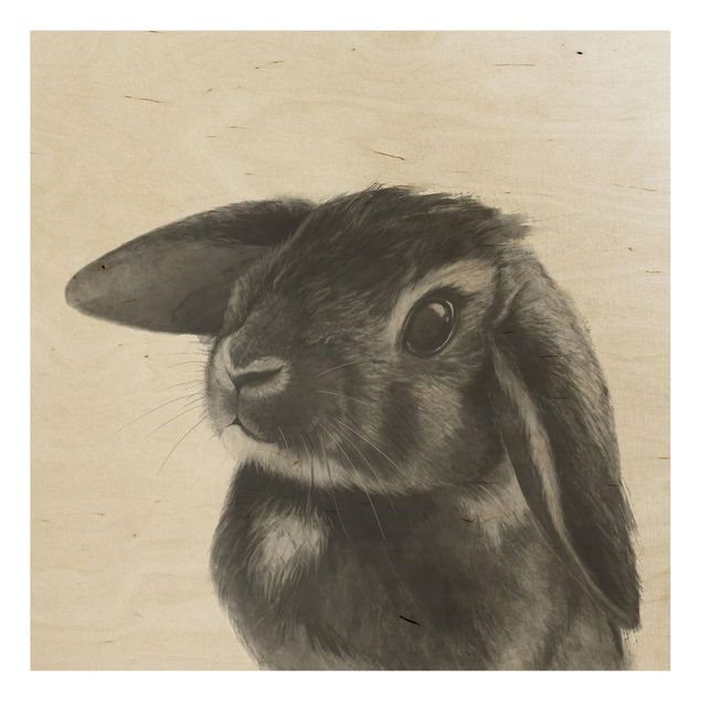 Cuadros Illustration Rabbit Black And White Drawing