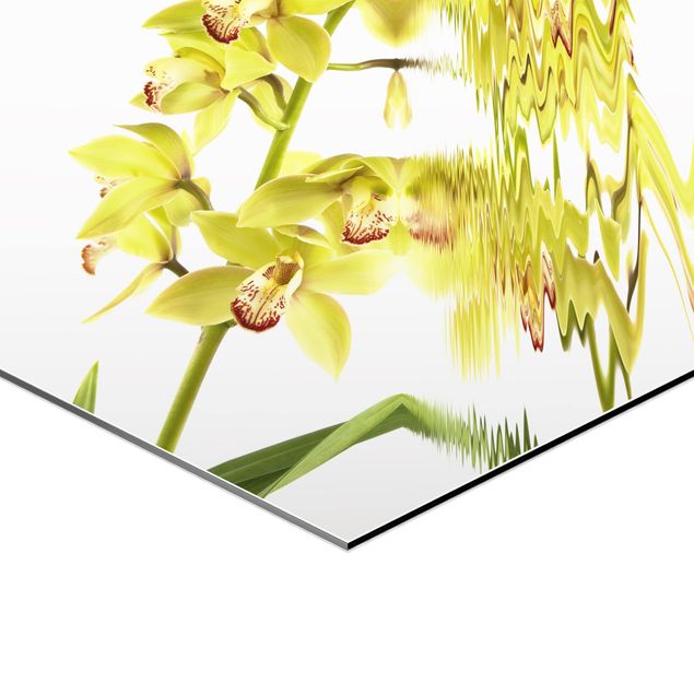 Cuadros hexagonales Elegant Orchid Waters