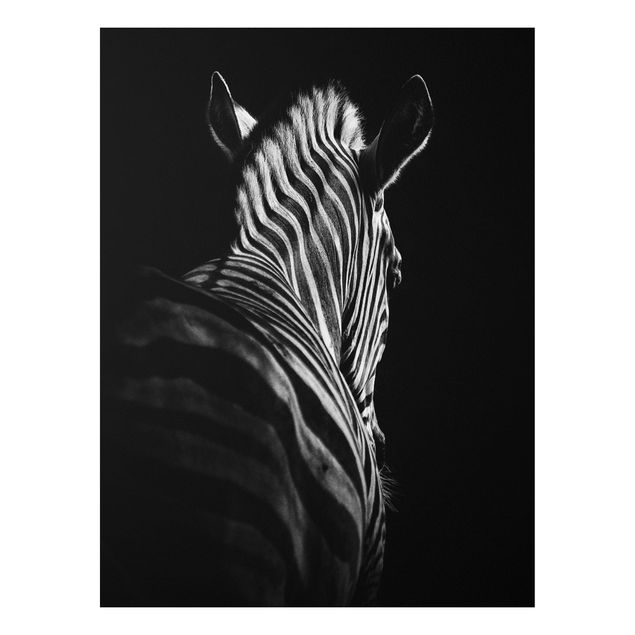Cuadrs cebras Dark Zebra Silhouette