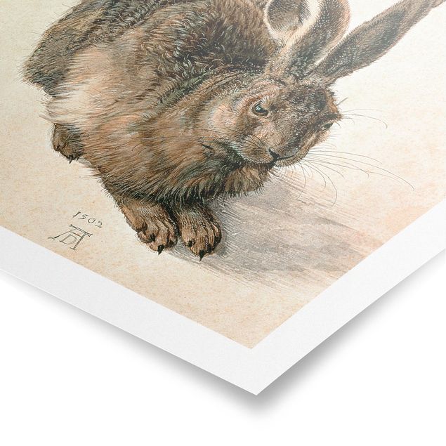 Póster cuadros famosos Albrecht Dürer - Young Hare