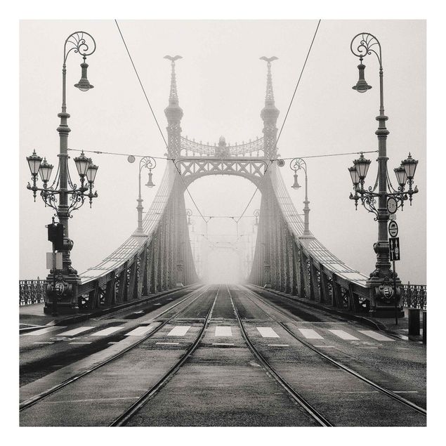 Cuadros ciudades Bridge in Budapest