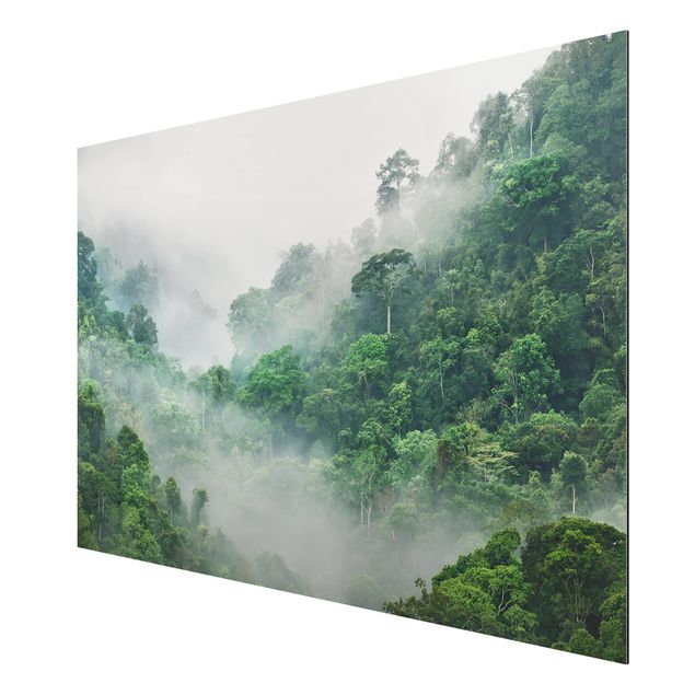Cuadros paisajes Jungle In The Fog