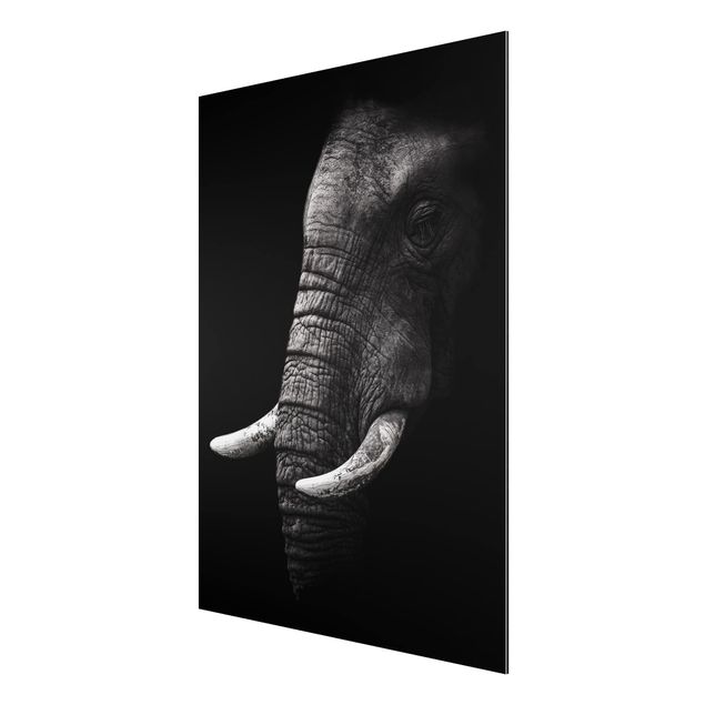Cuadro con paisajes Dark Elephant Portrait