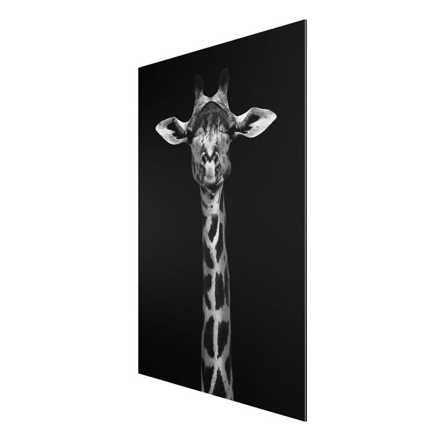Cuadros africanos modernos Dark Giraffe Portrait
