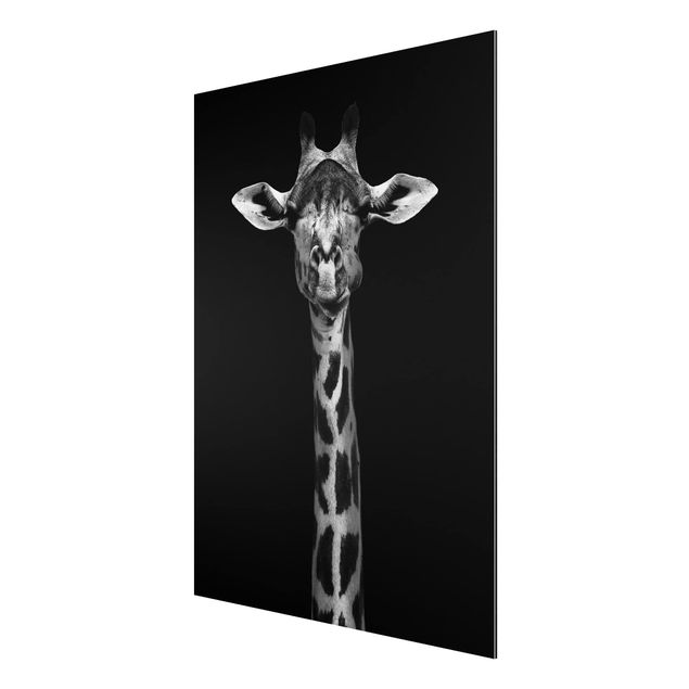 Cuadros africanos Dark Giraffe Portrait