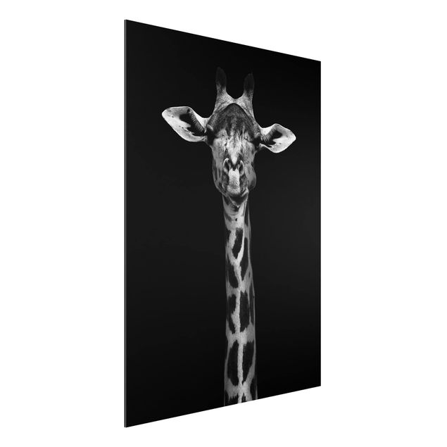 Cuadros de jirafas Dark Giraffe Portrait