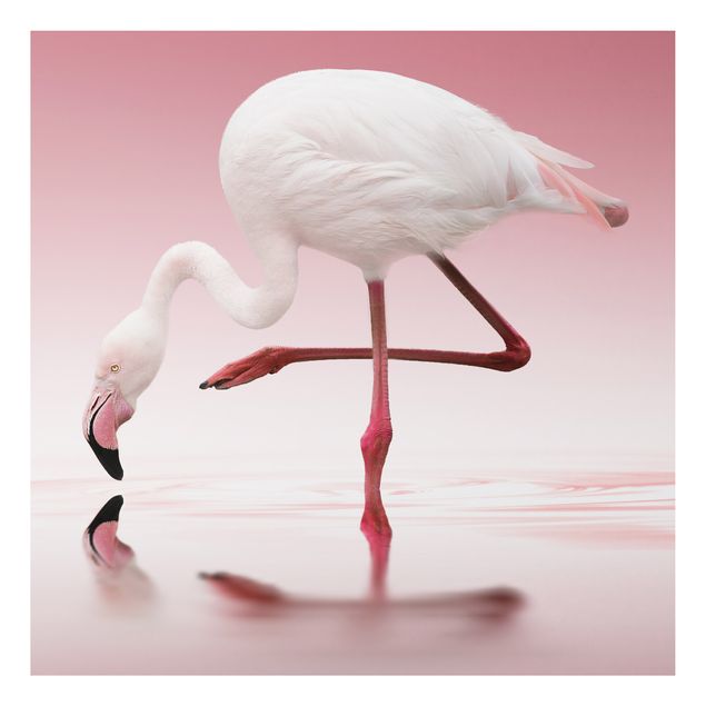Cuadros de plumas Flamingo Dance