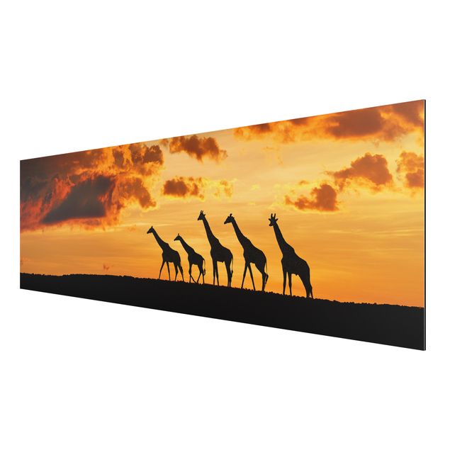 Cuadros paisajes Five Giraffes