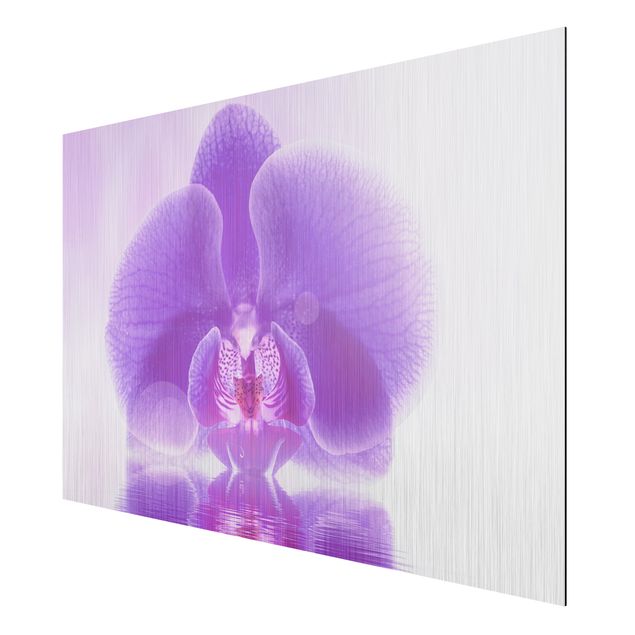 Cuadros de plantas Purple Orchid On Water