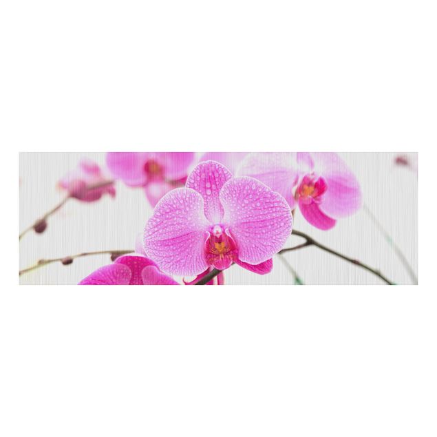 Decoración de cocinas Close-Up Orchid