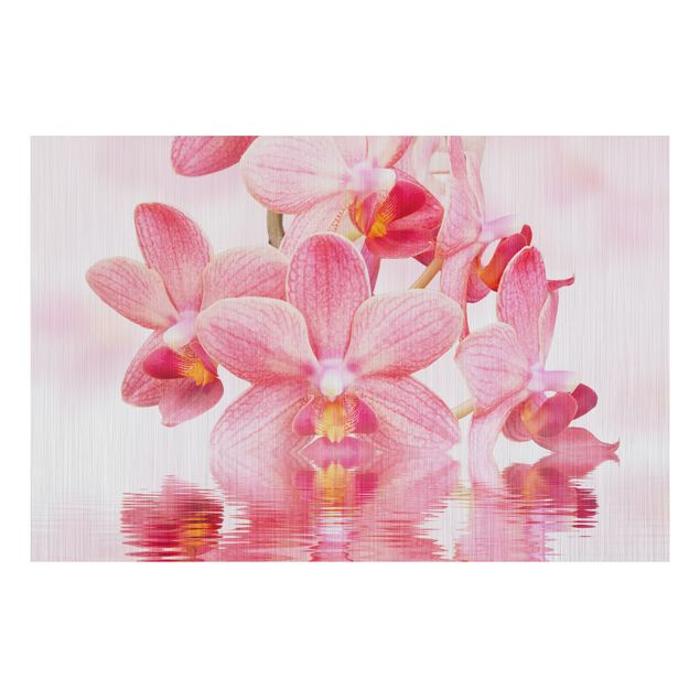 Decoración cocina Light Pink Orchid On Water