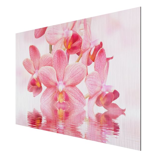 Cuadros de plantas Light Pink Orchid On Water