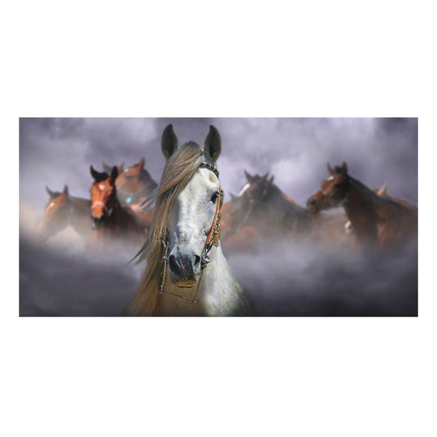 Cuadro con caballos Horses in the Dust