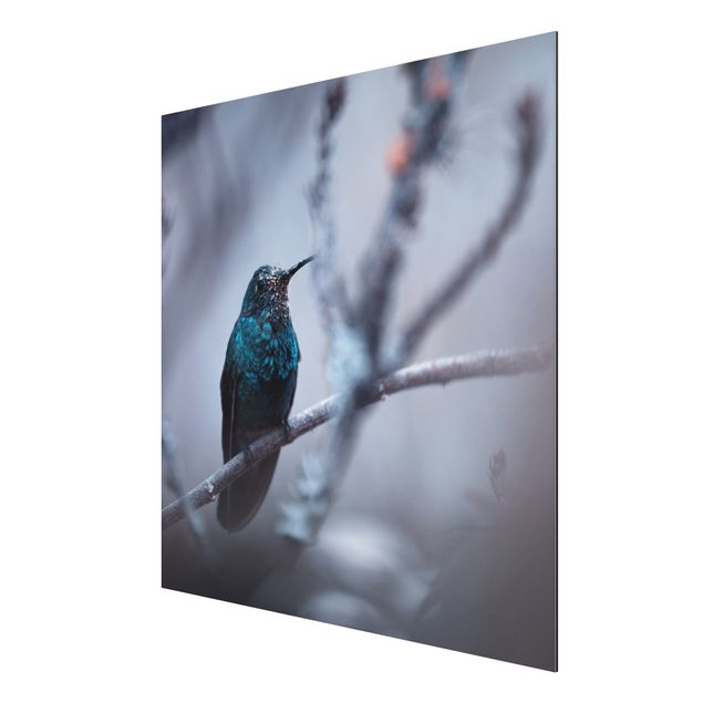 Cuadros decorativos modernos Hummingbird In Winter