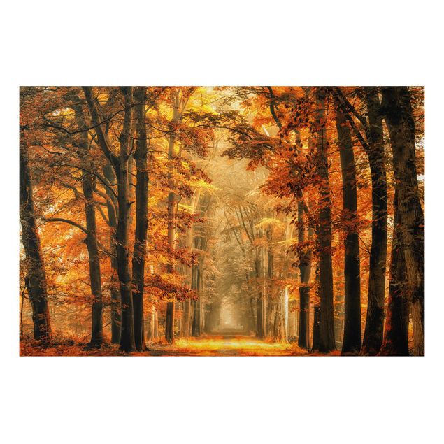 Cuadros de árboles para salón Enchanted Forest In Autumn