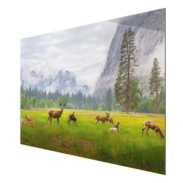 Cuadro con paisajes Deer In The Mountains