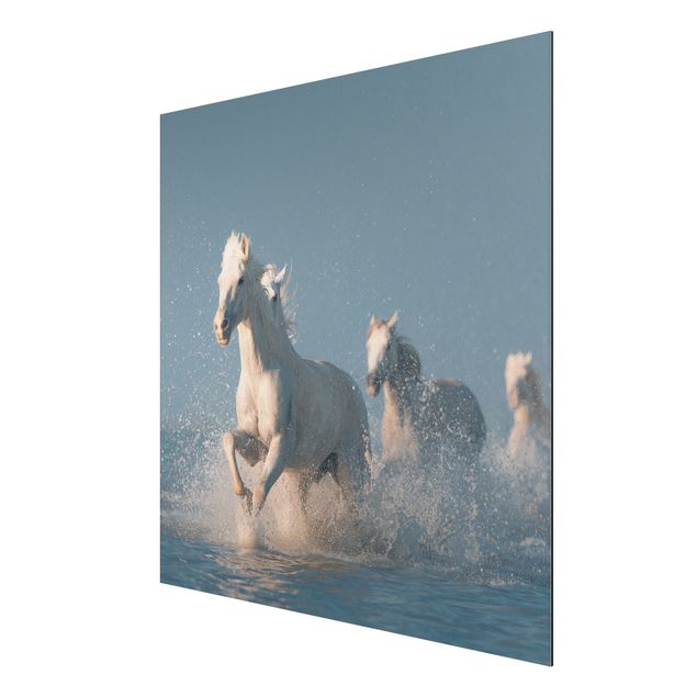 Cuadros modernos y elegantes Herd Of White Horses