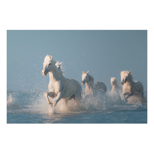 Cuadro con caballos Herd Of White Horses
