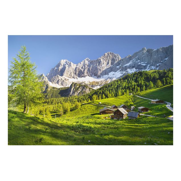 Cuadros de paisajes de montañas Styria Alpine Meadow