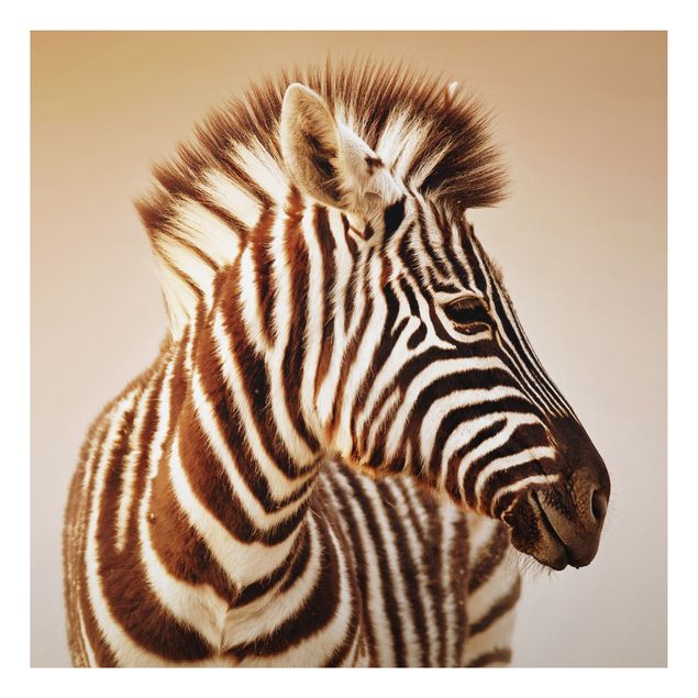 Cuadros de cebras Zebra Baby Portrait