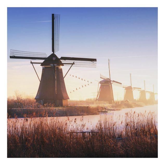 Cuadros de ciudades Windmills Of Kinderdijk