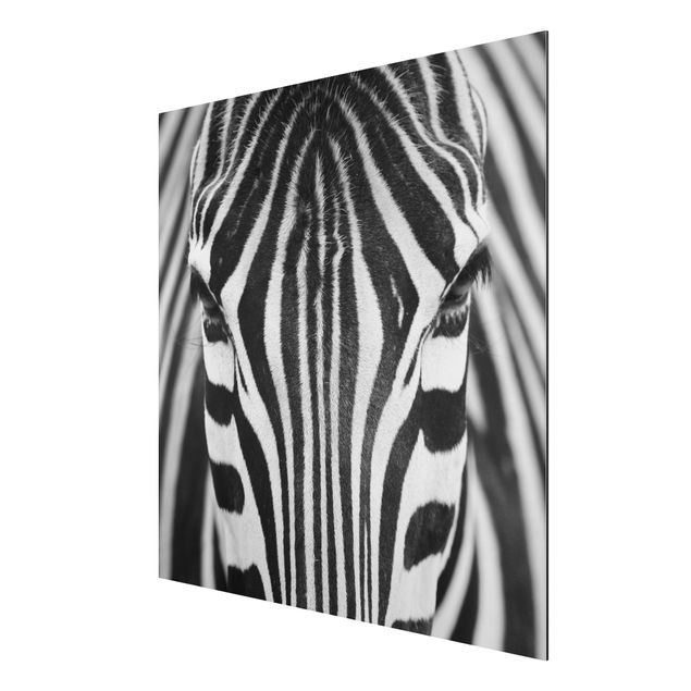 Cuadros africanos modernos Zebra Look