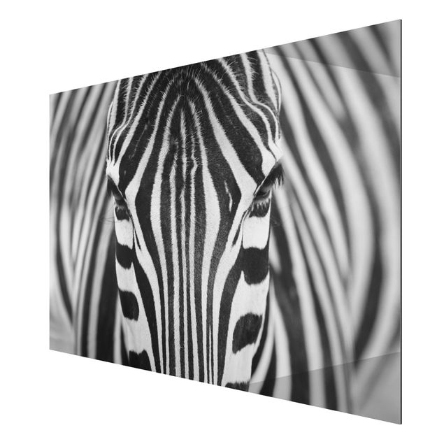 Cuadros africanos modernos Zebra Look